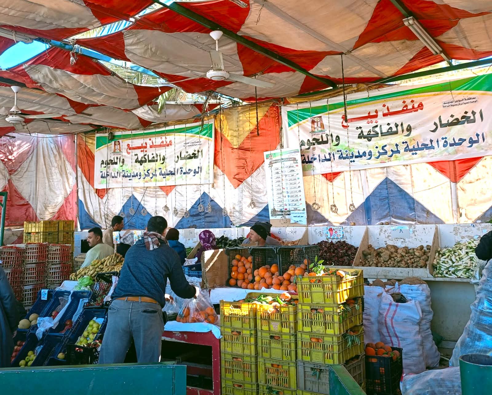 منافذ البيع الحكومية المخفضة بالوادى الجديد  (10)