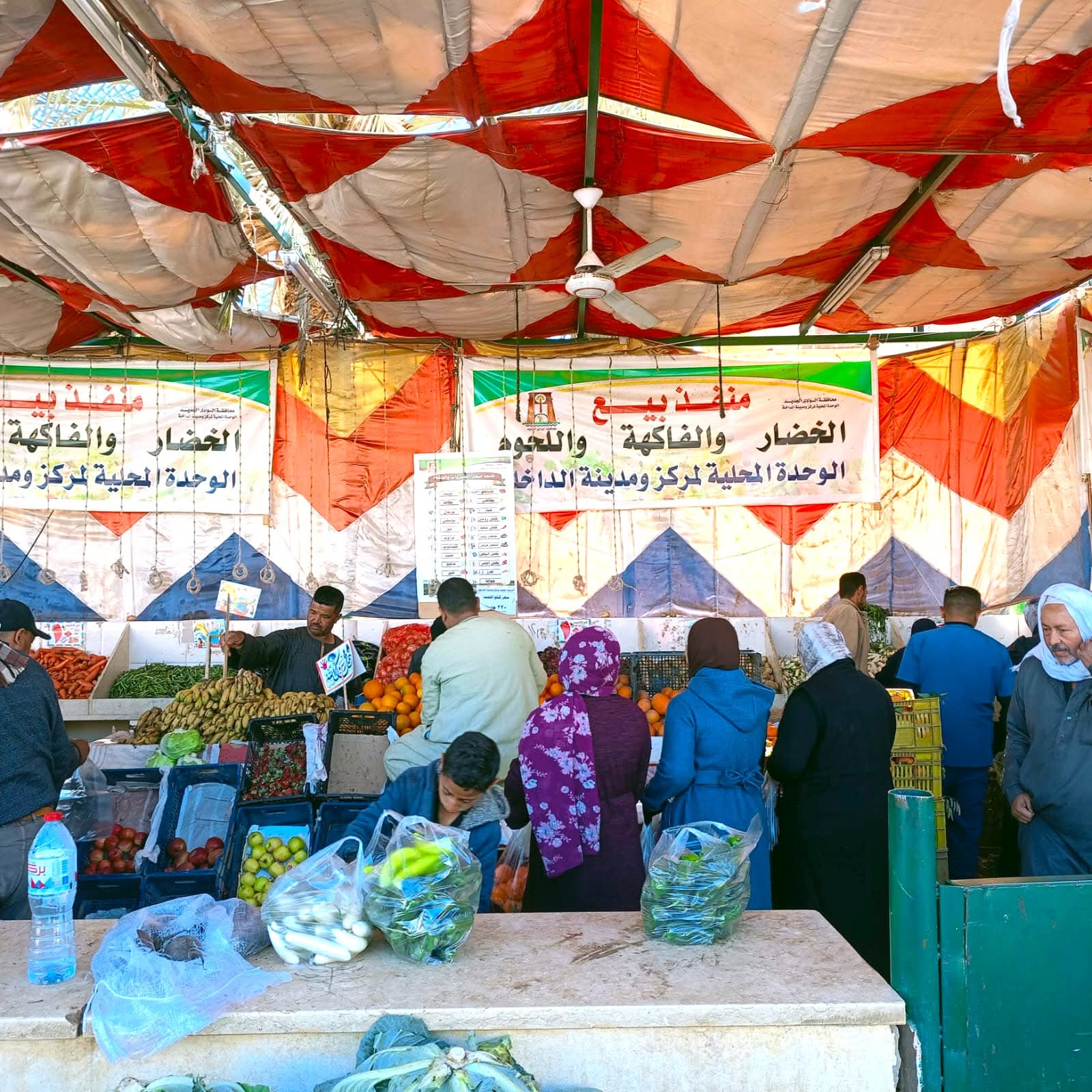 منافذ البيع الحكومية المخفضة بالوادى الجديد  (11)