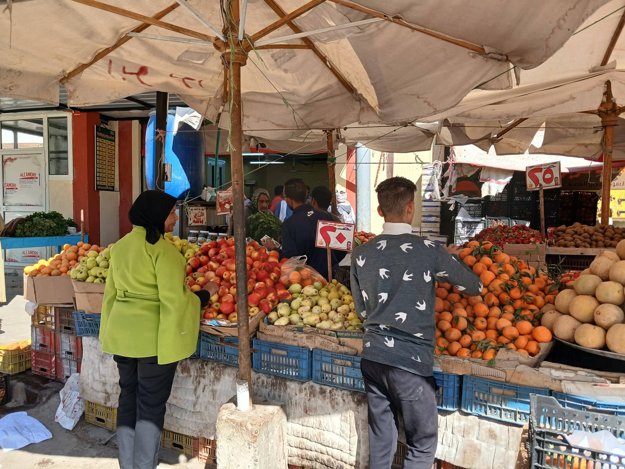 منافذ البيع الحكومية المخفضة بالوادى الجديد  (19)