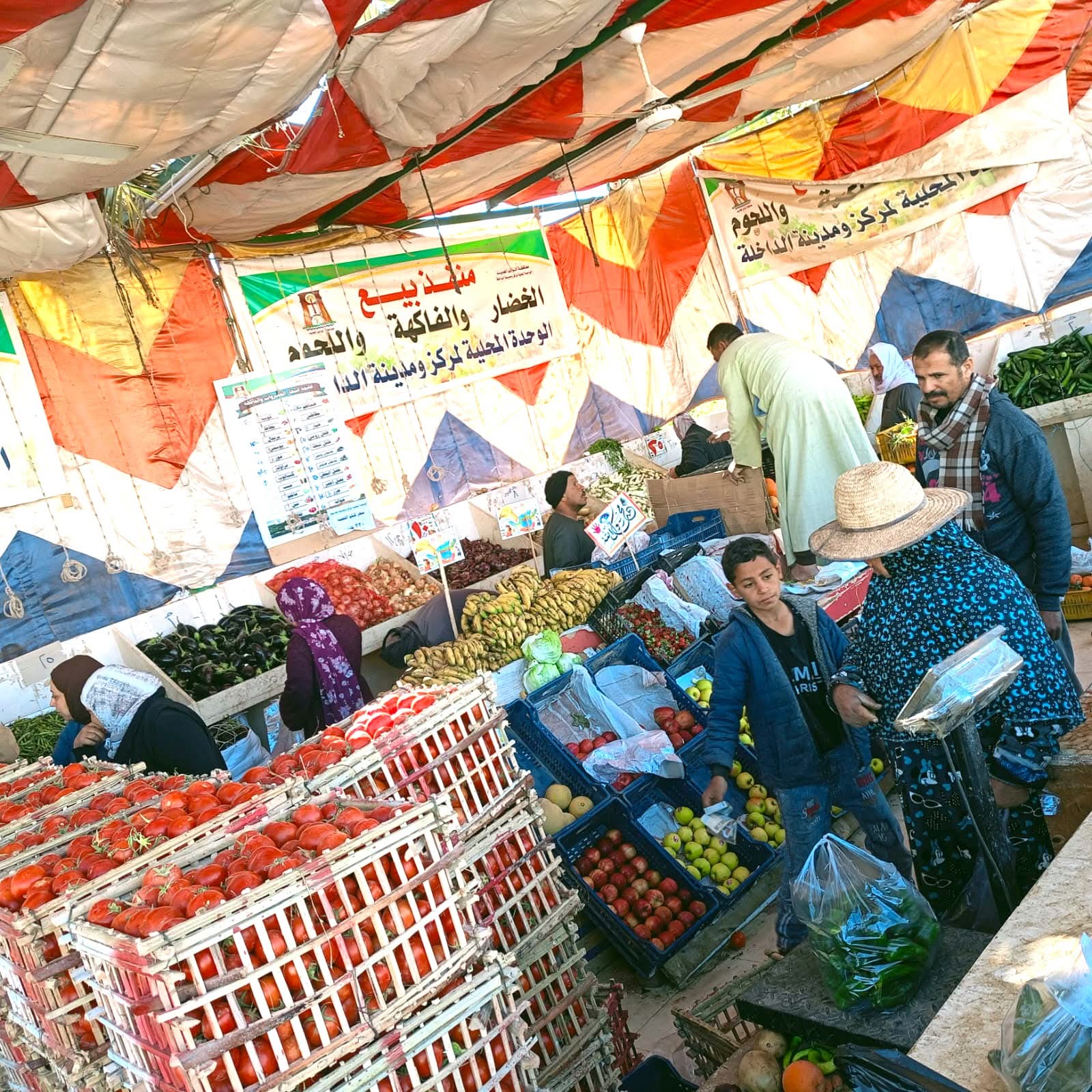 منافذ البيع الحكومية المخفضة بالوادى الجديد  (8)