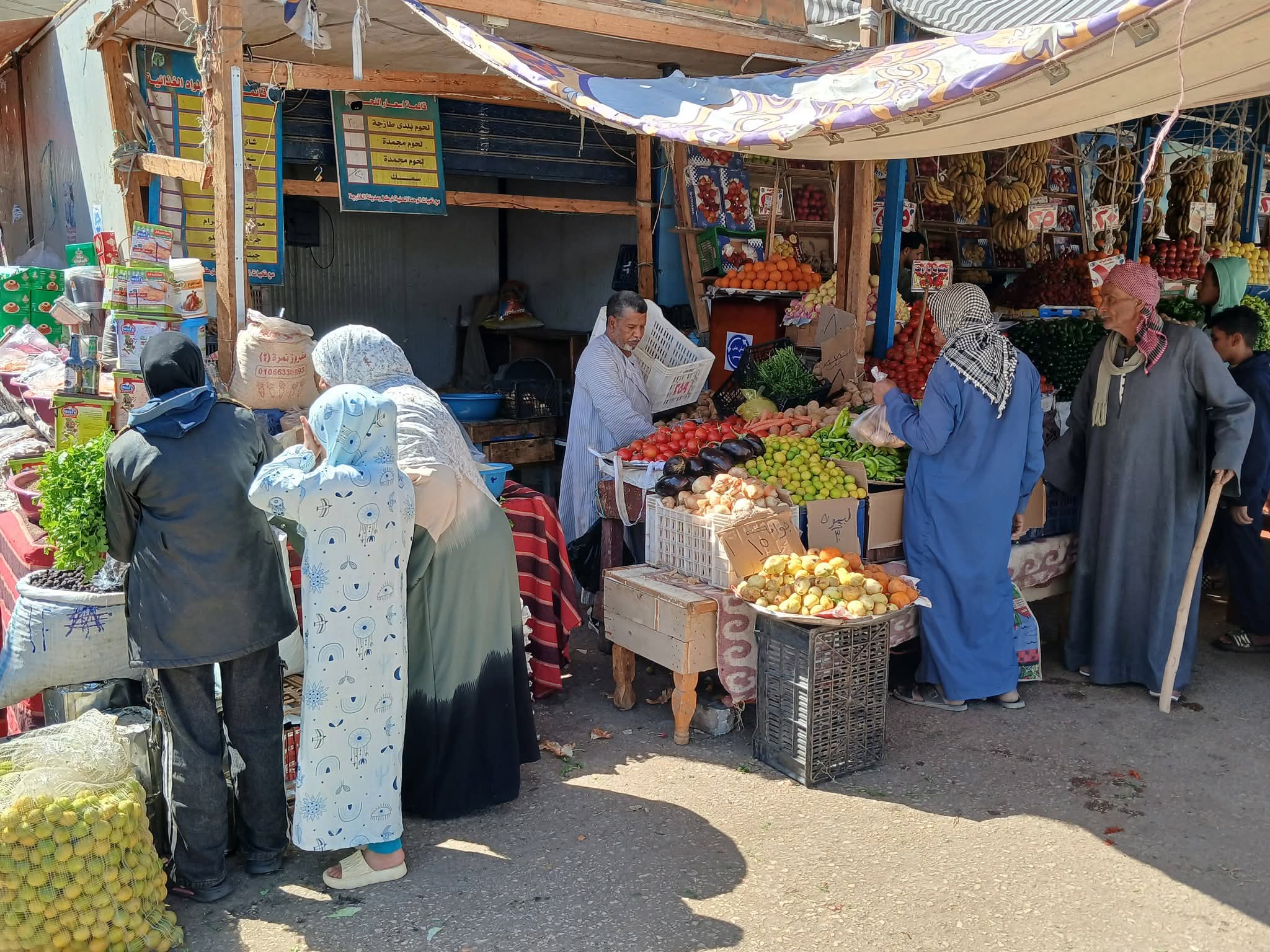 منافذ البيع الحكومية المخفضة بالوادى الجديد  (18)