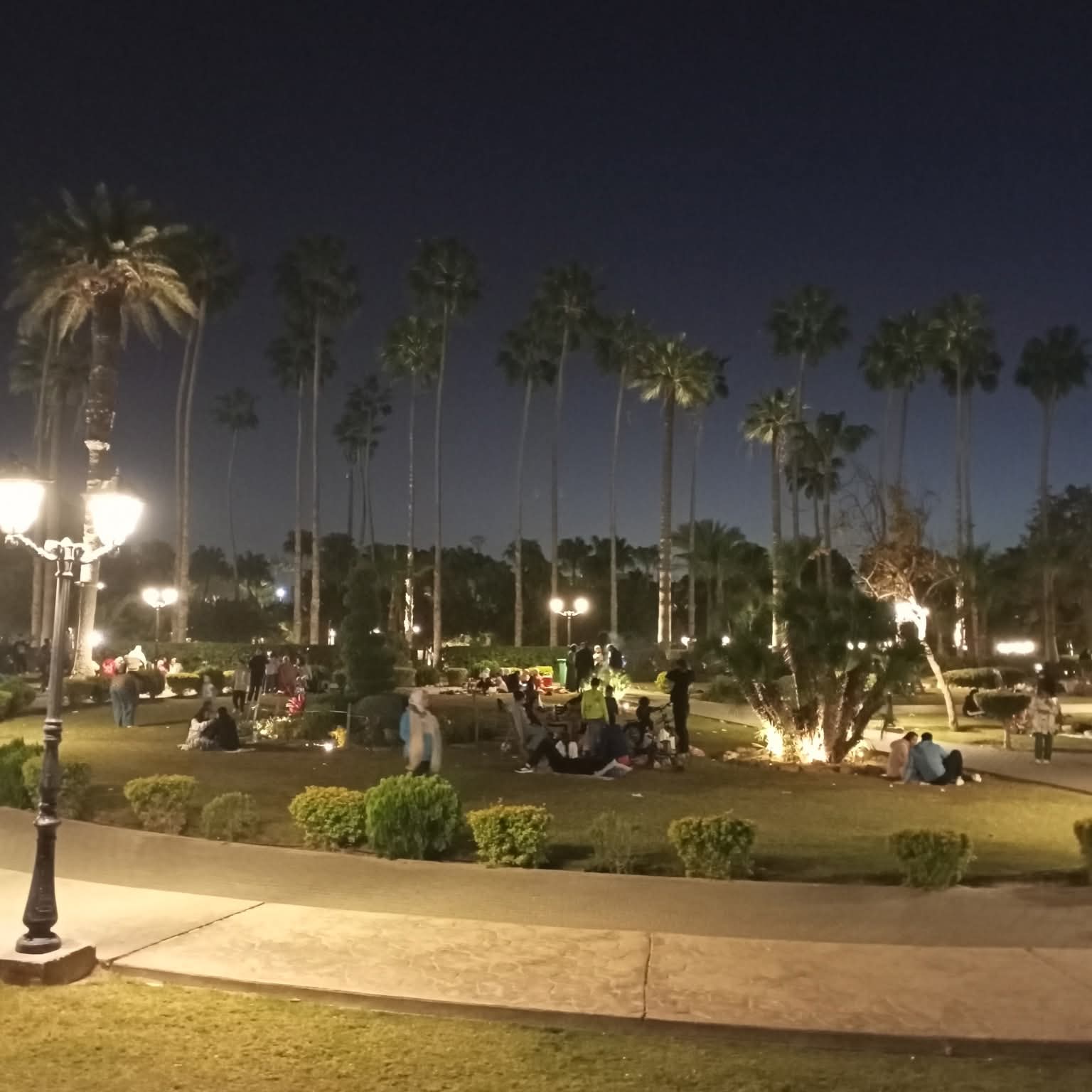 الحديقة تعمل حتى 10 مساءا