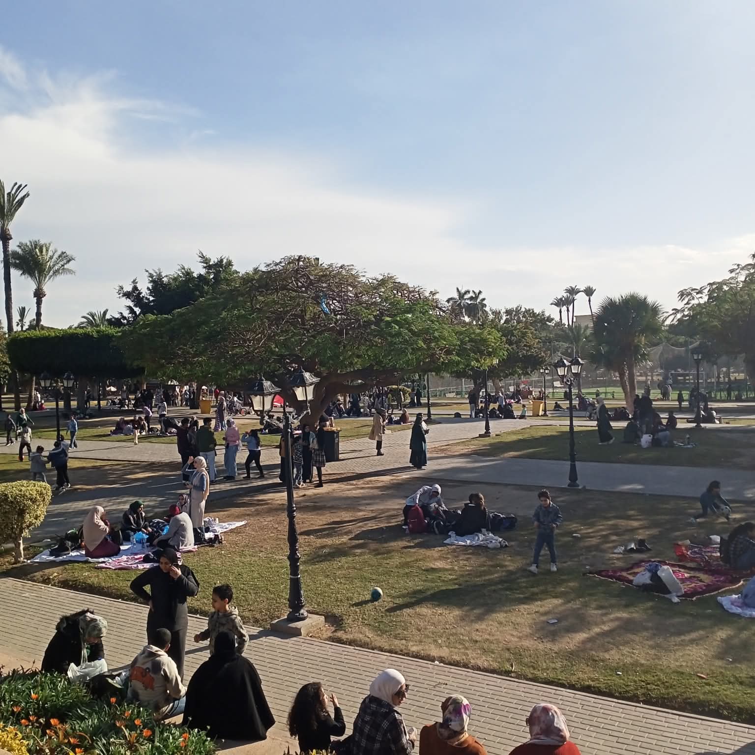 التوافد على الحديقه