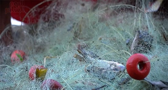 Screen-Shot-2026-02-03-at-1.31.58-PM