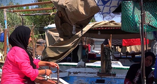 Screen-Shot-2026-02-03-at-1.30.14-PM