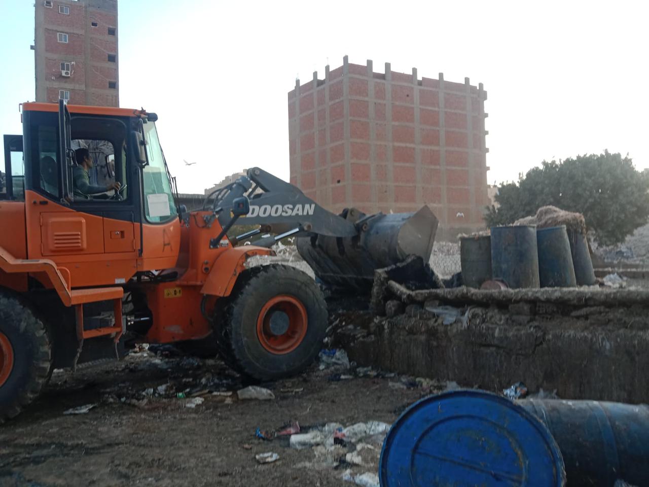 رفع مخلفات الطيور