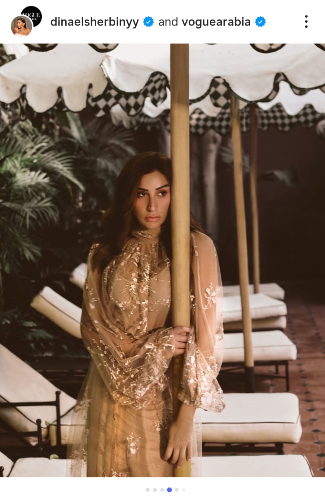 دينا الشربيني (4)