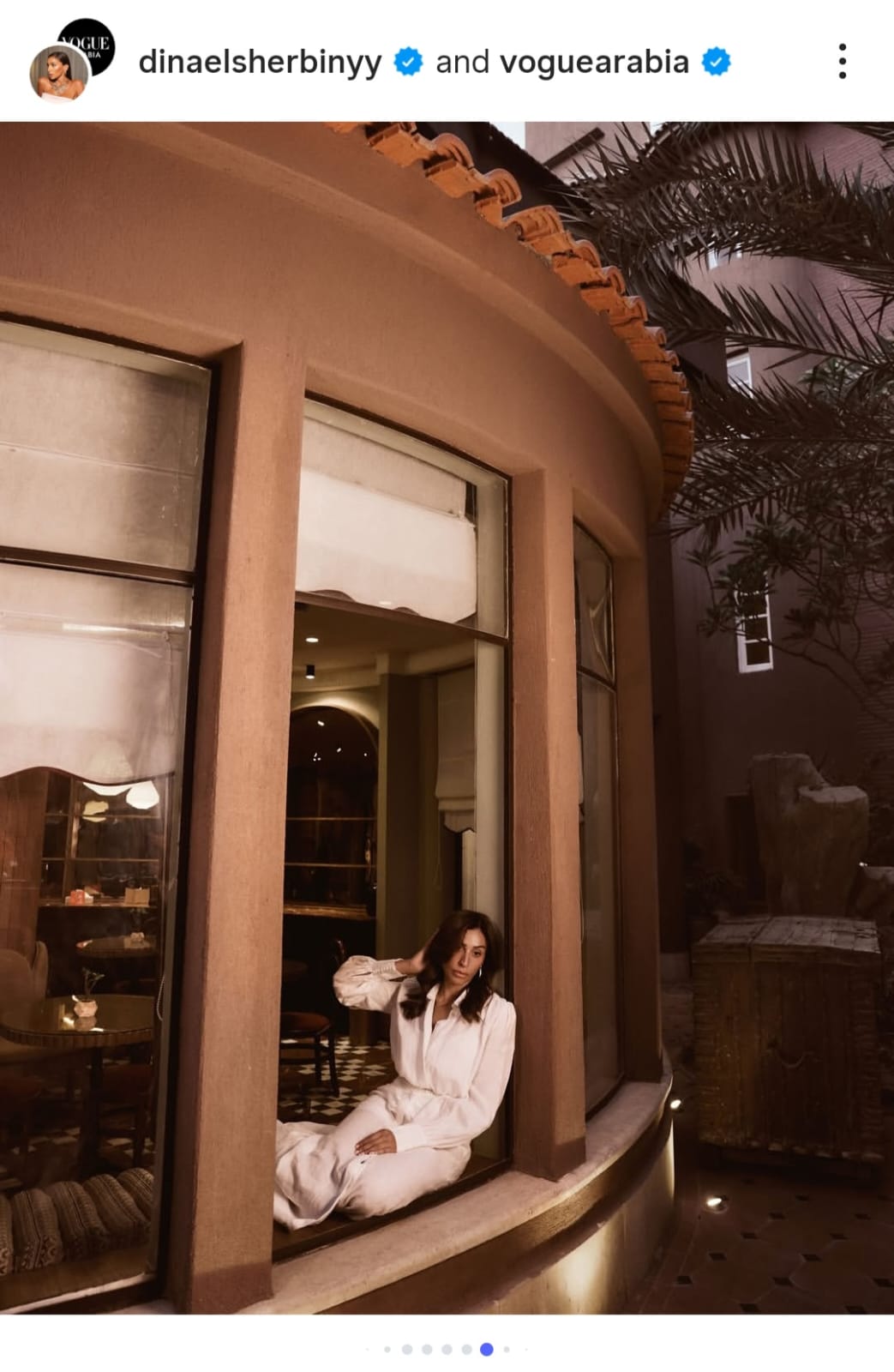 دينا الشربيني (3)