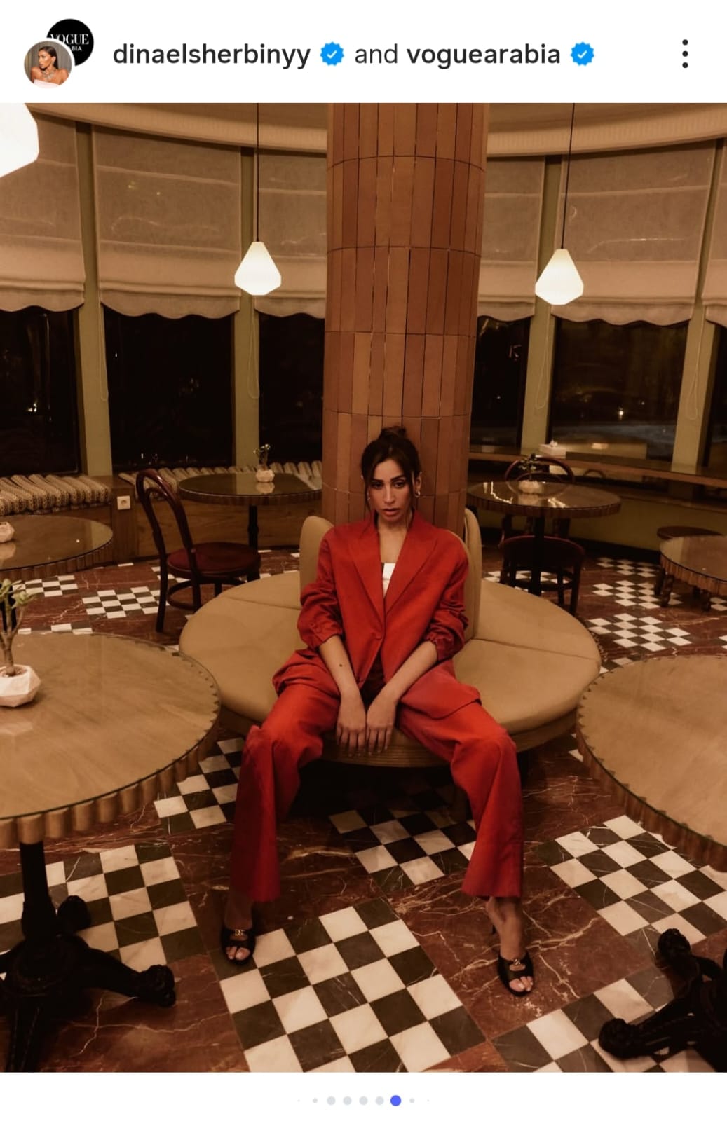 دينا الشربيني (6)