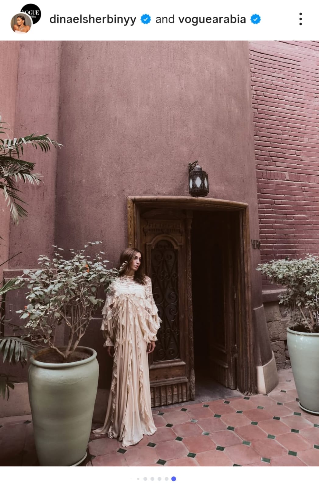 دينا الشربيني (7)