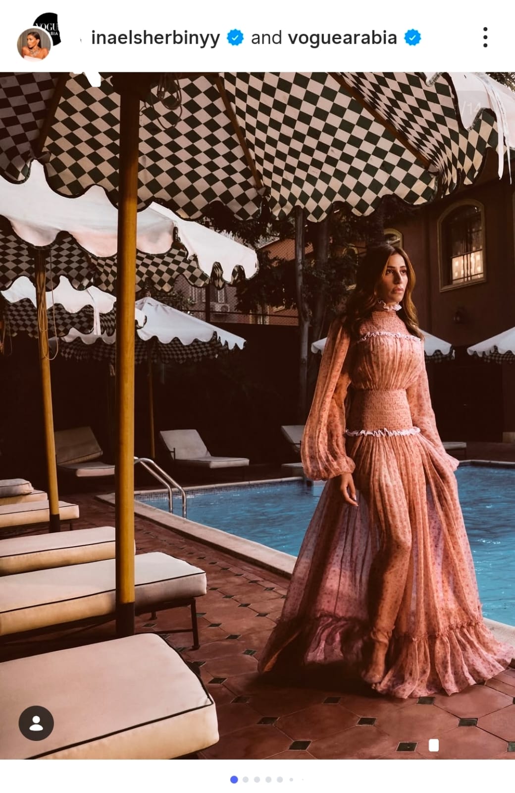 دينا الشربيني (1)