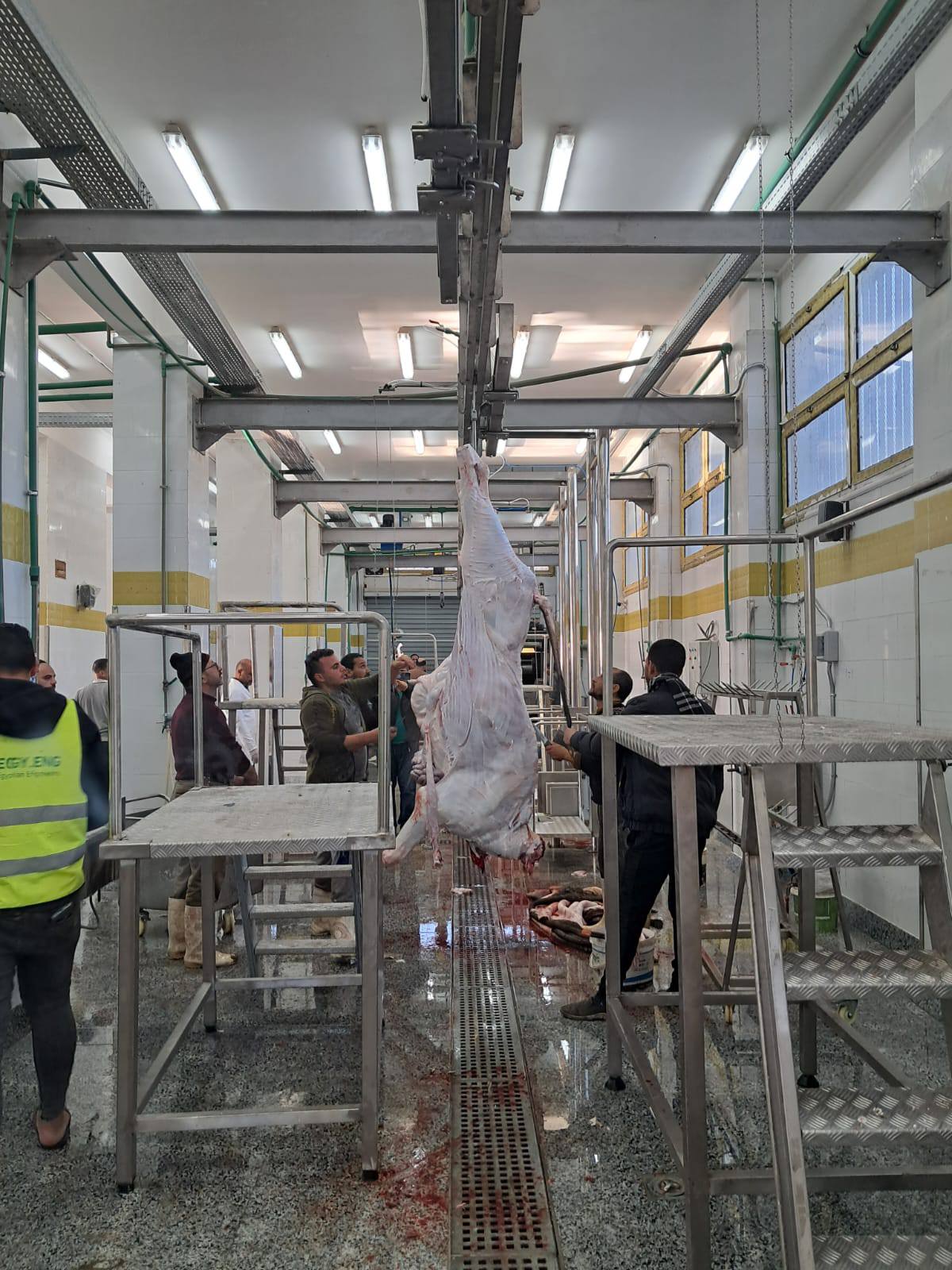 متابعة العمل بالمجزر