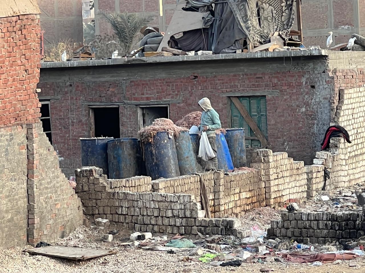 مخلفات الطيور