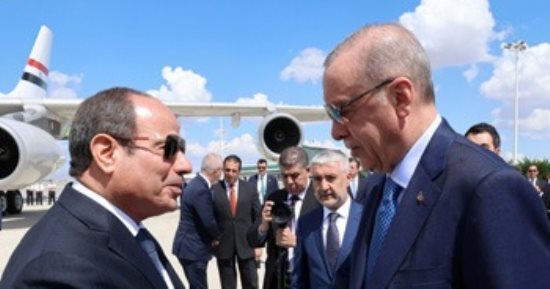 الرئيسان السيسي وأوردوغان