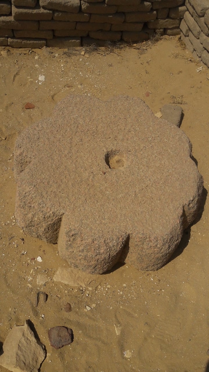 قصر التيه (1)