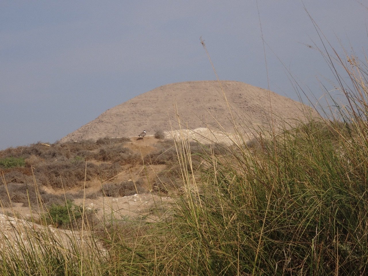 قصر التيه (2)