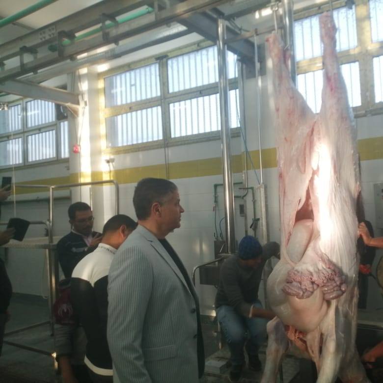 الكشف الطبي على اللحوم