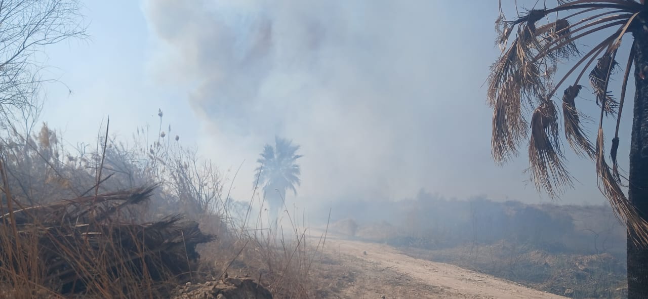 تصاعد الادخنة بالمنطقة 