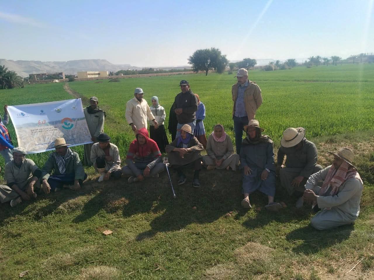 مزارعى الوادى الجديد (3)