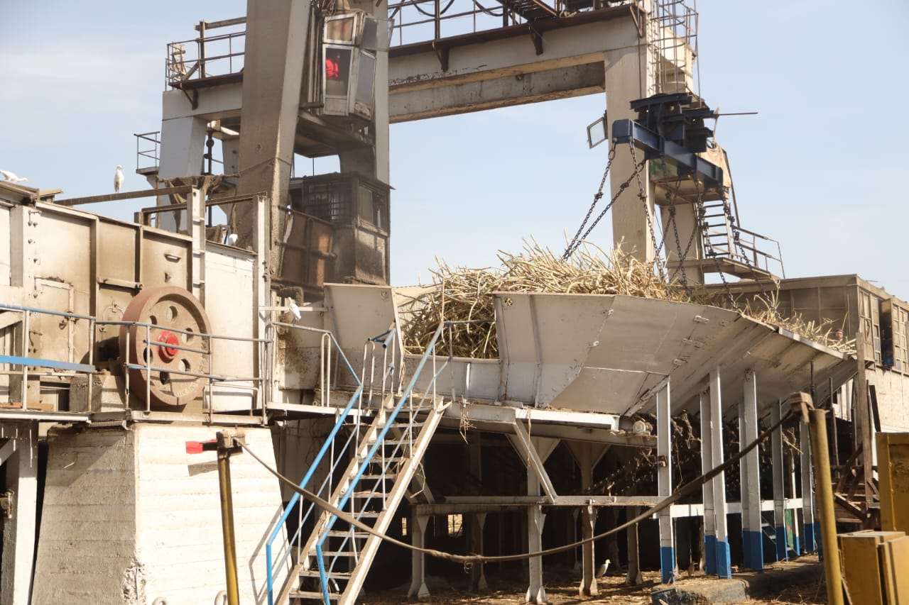 استقبال السكر بالمصنع 