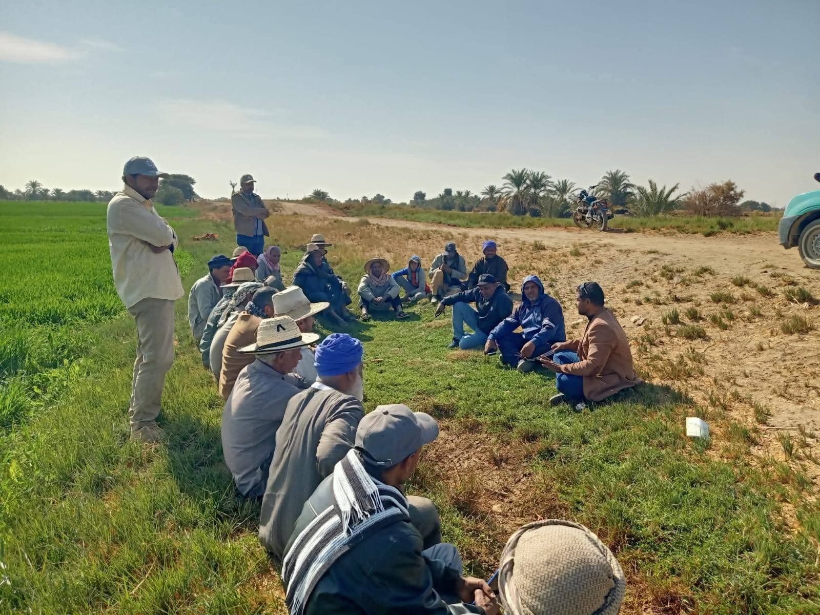 مزارعى الوادى الجديد (1)