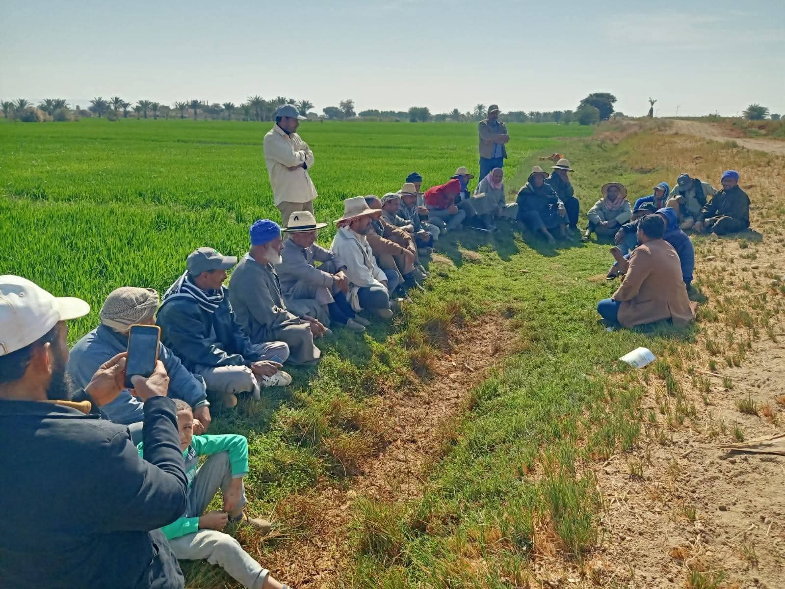 مزارعى الوادى الجديد (8)