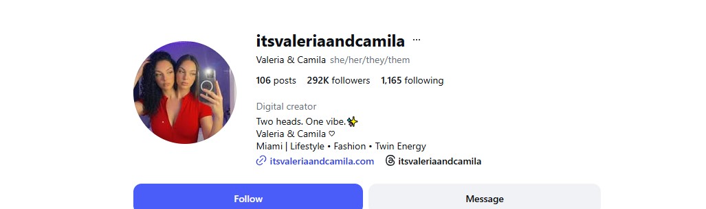 صفحة التوأم صفحة التوأم