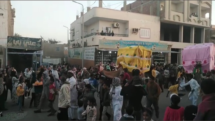 جمال تحمل محامل الأولياء بالمدينة 