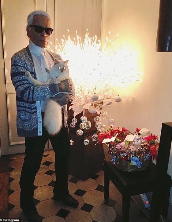 كارل مع قطته