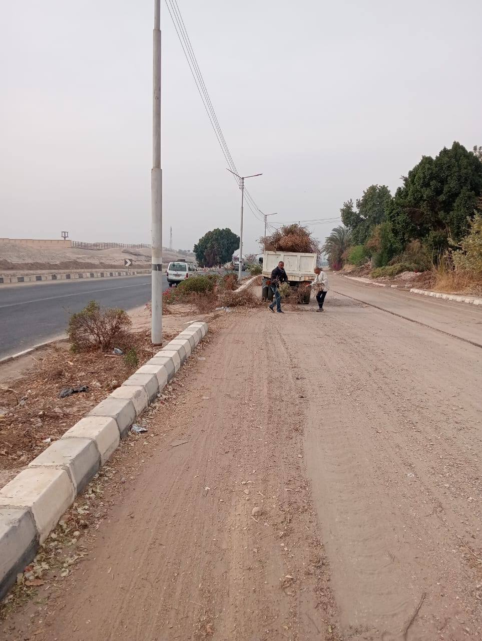 تركيب كشافات إنارة ونظافة الميادين ورفع المخلفات بقرية العديسات بحرى