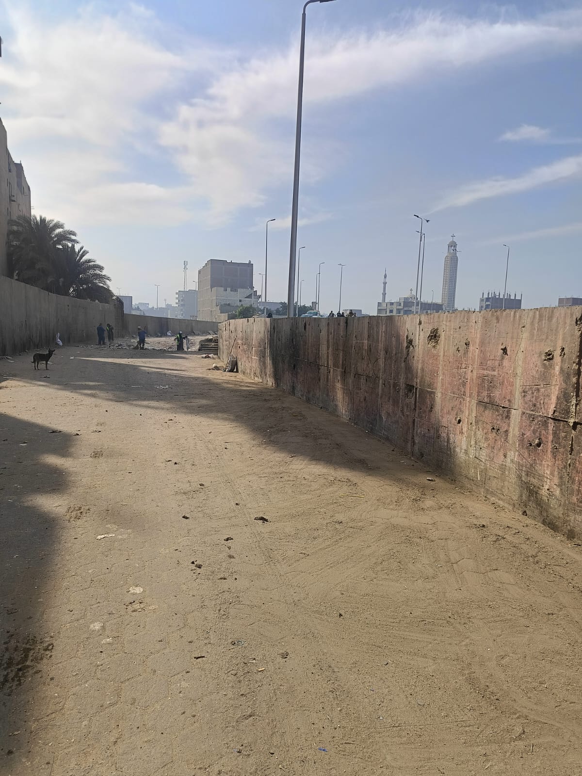 حى العجوزة يلغى نقاط تجمع للمخلفات ويعيد الانضباط لها (3)