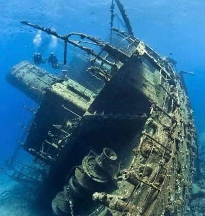 أهم مواقع الغوص بالغردقة 