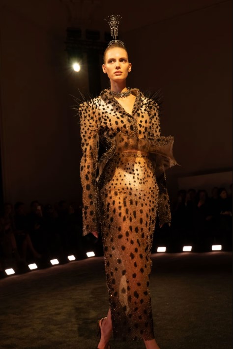 عودة التايجر