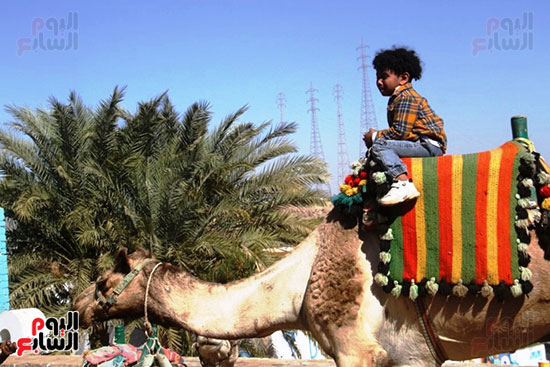 الأطفال-فى-النوبة