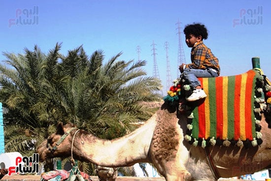 الأطفال-فى-النوبة