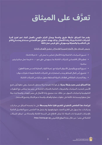 الملخص-التنفيذي-للشركات-_v1الناشئة-3