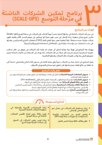 الملخص-التنفيذي-للشركات-_v1الناشئة-8