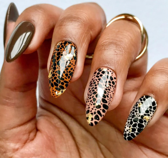 اظافر جلد النمر