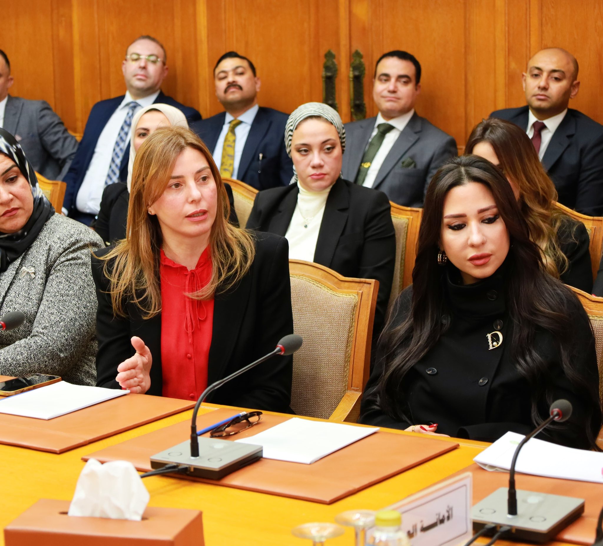 وفدٌ من مستشاري هيئة النيابة الإدارية يزور مقر جامعة الدول العربية (9)