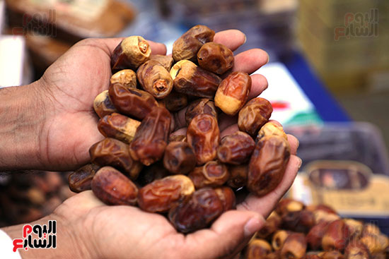 اليوم الاول لمهرجان التمور بالمتحف الزراعي (3)