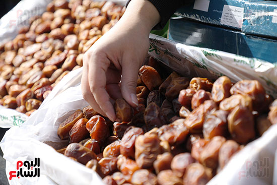 اليوم الاول لمهرجان التمور بالمتحف الزراعي (4)