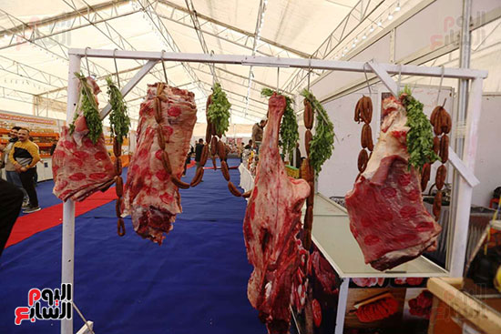 معرض السلع والمنتجات الغذائية بميدان باب الشعرية (28)
