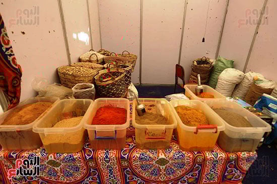 معرض السلع والمنتجات الغذائية بميدان باب الشعرية (35)