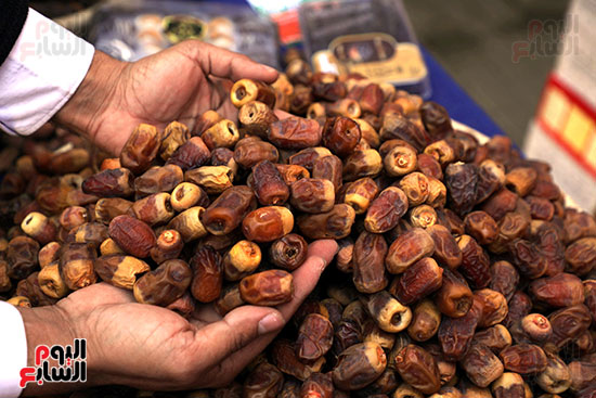 افتتاح مهرجان التمور (2)