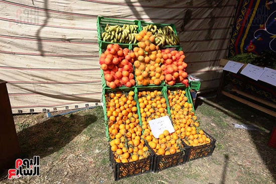 معرض السلع والمنتجات الغذائية بميدان باب الشعرية (18)