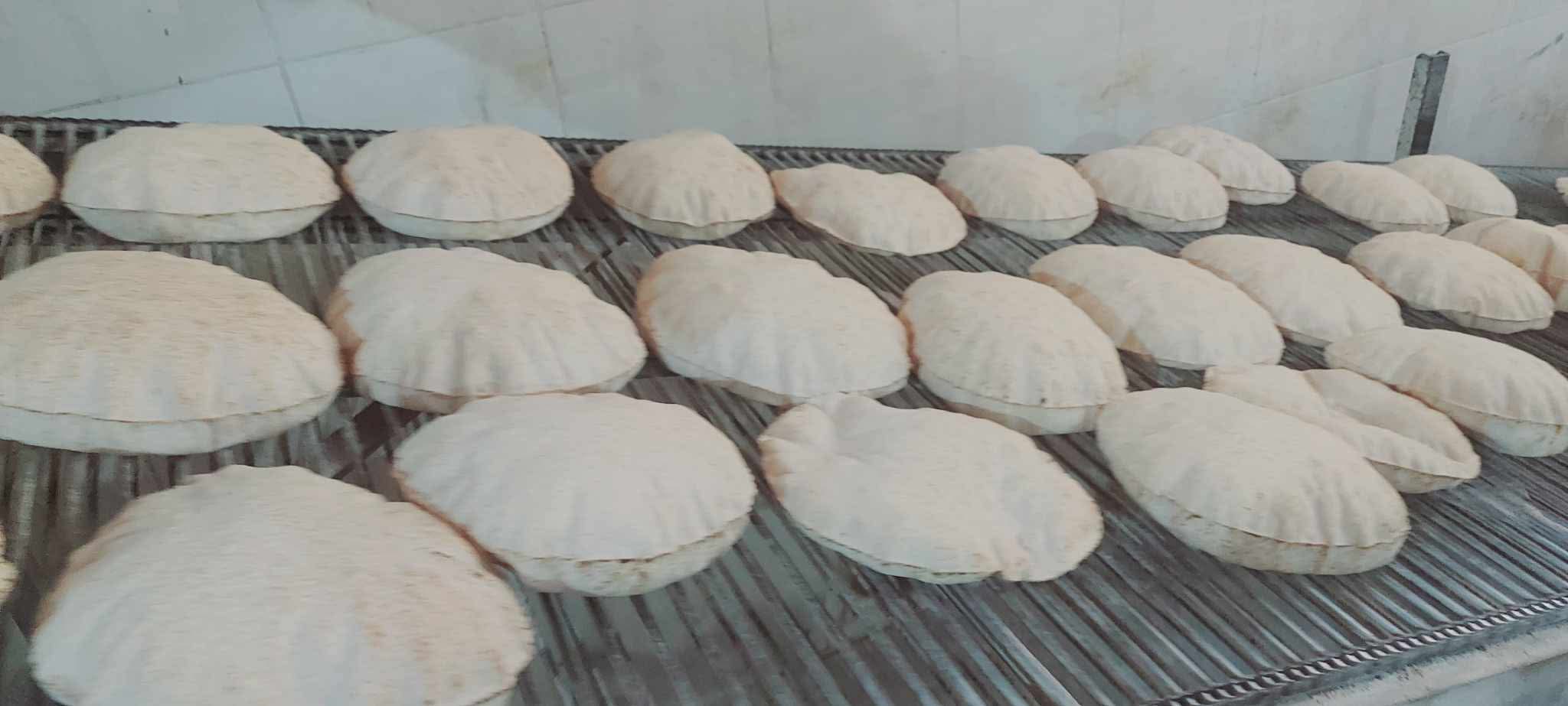 الخبز الخبز
