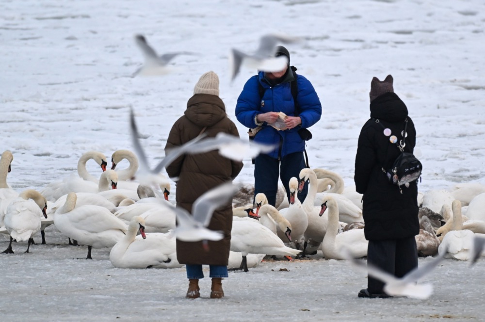 بحر البلطيق المغطى بالجليد في سوبوت (8)