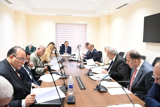 الطاقة النظيفة والنووية والابتكار المحلي علي (1)