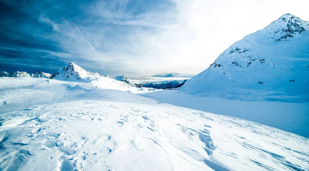 استخدام الذكاء الاصطناعي في القطب الشمالي