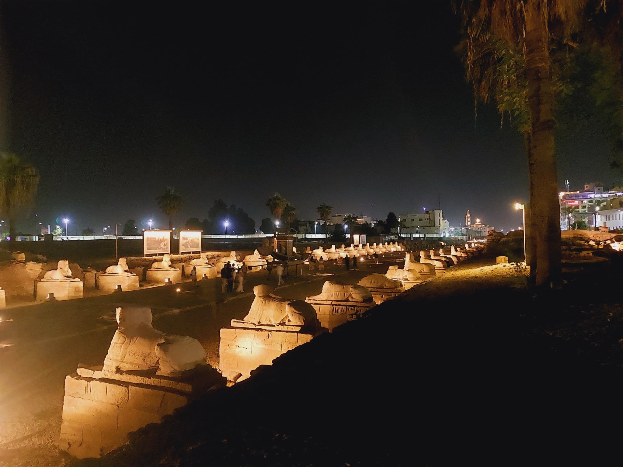 استمتاع الأجانب فى طريق الكباش مساءاً بالأقصر استمتاع الأجانب فى طريق الكباش مساءاً بالأقصر